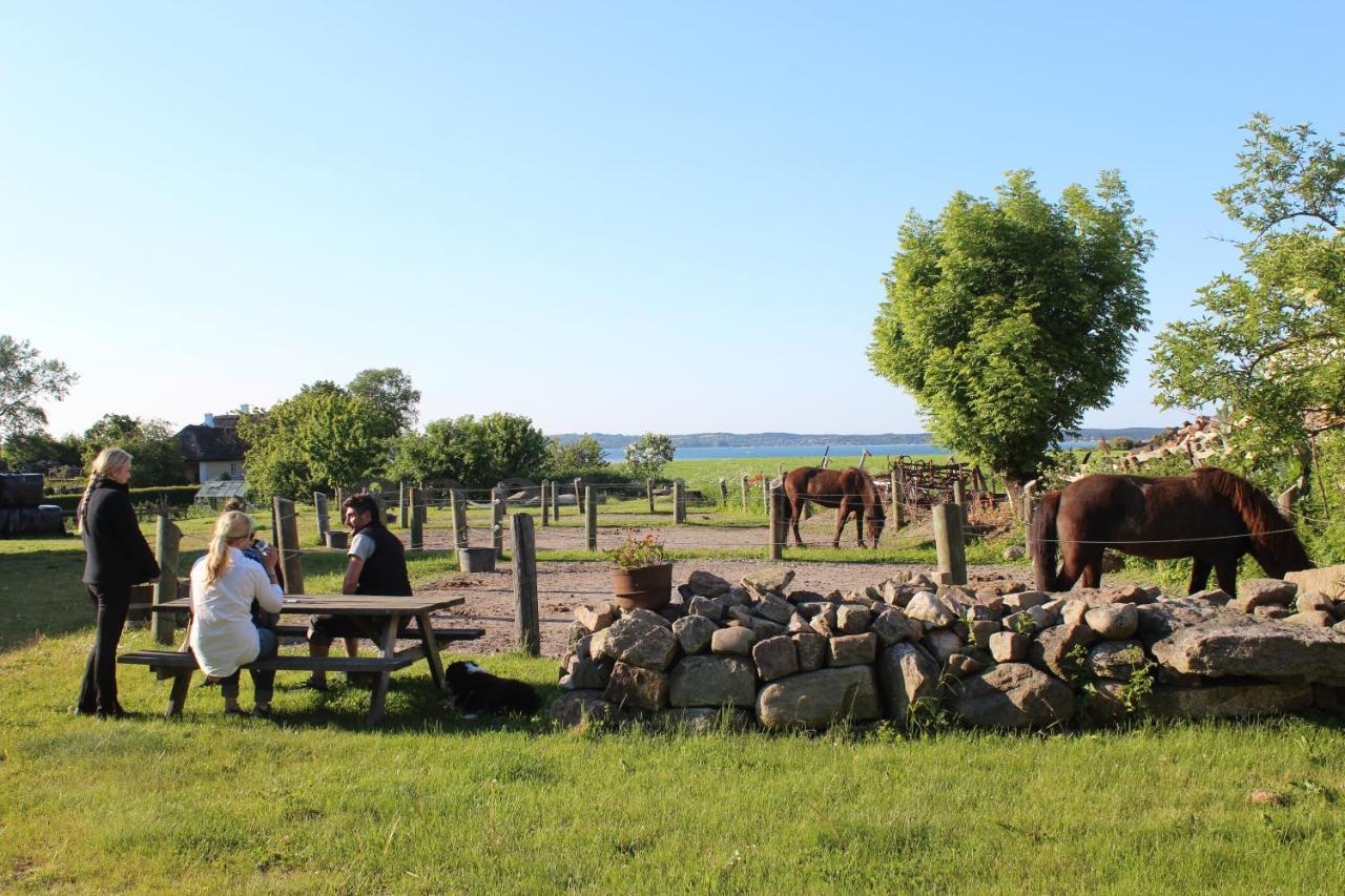 Stutteri Ahl Near Beach And Town Ebeltoft Exterior photo